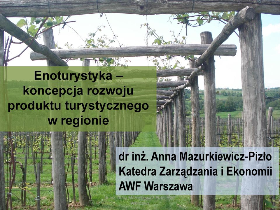 regionie dr inż.