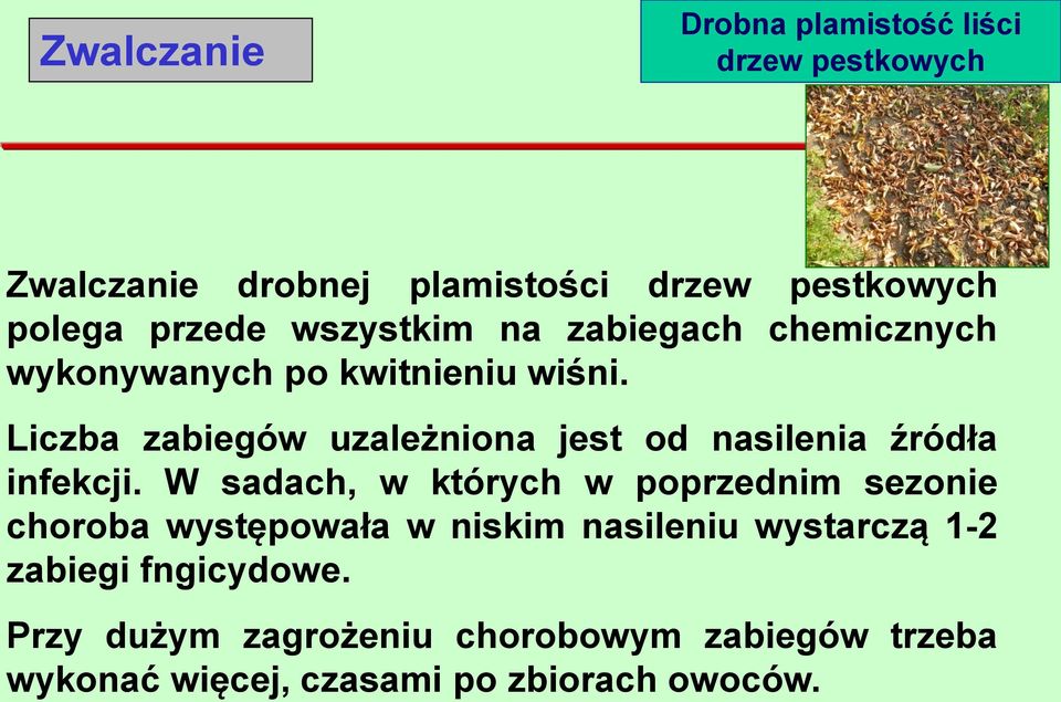 Liczba zabiegów uzależniona jest od nasilenia źródła infekcji.