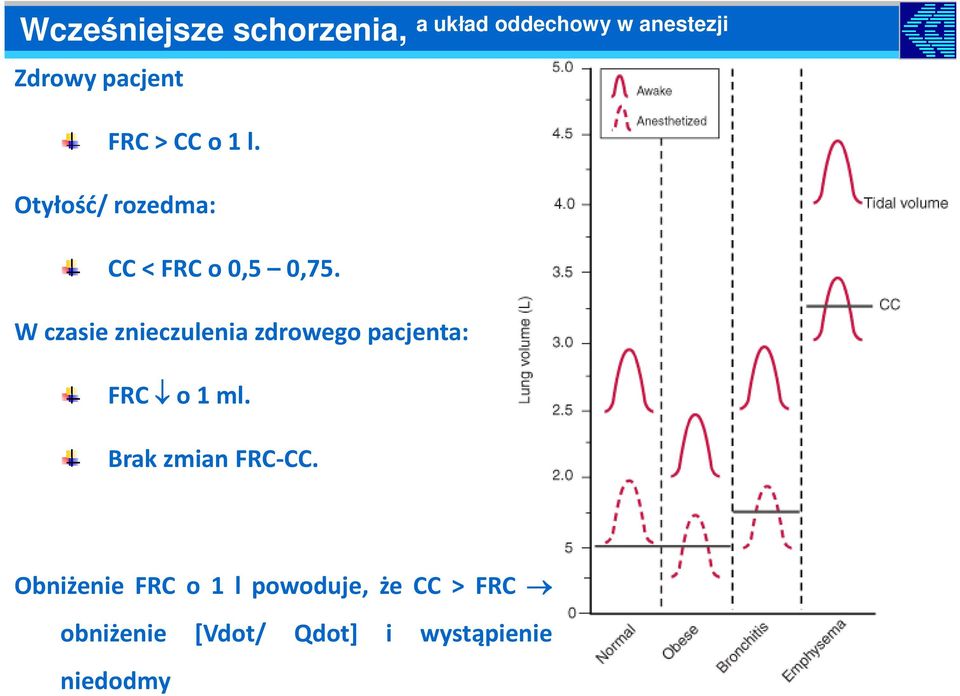 W czasie znieczulenia zdrowego pacjenta: FRC o 1 ml. Brak zmian FRC-CC.