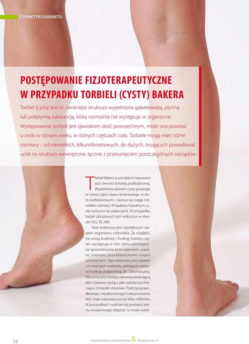 Torbiele mogą mieć różne rozmiary od niewielkich, kilkumilimetrowych, do dużych, mogących powodować ucisk na struktury wewnętrzne, łącznie z przesunięciem poszczególnych narządów.