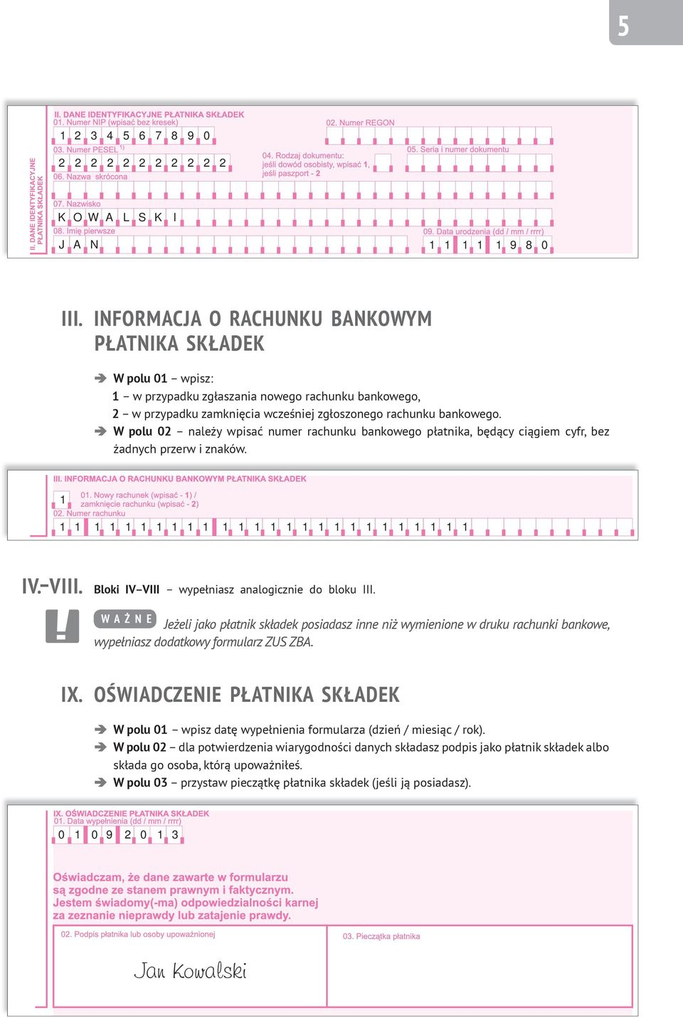 W polu 02 należy wpisać numer rachunku bankowego płatnika, będący ciągiem cyfr, bez żadnych przerw i znaków. 1 1 1 1 1 1 1 1 1 1 1 1 1 1 1 1 1 1 1 1 1 1 1 1 1 1 1 IV. VIII.