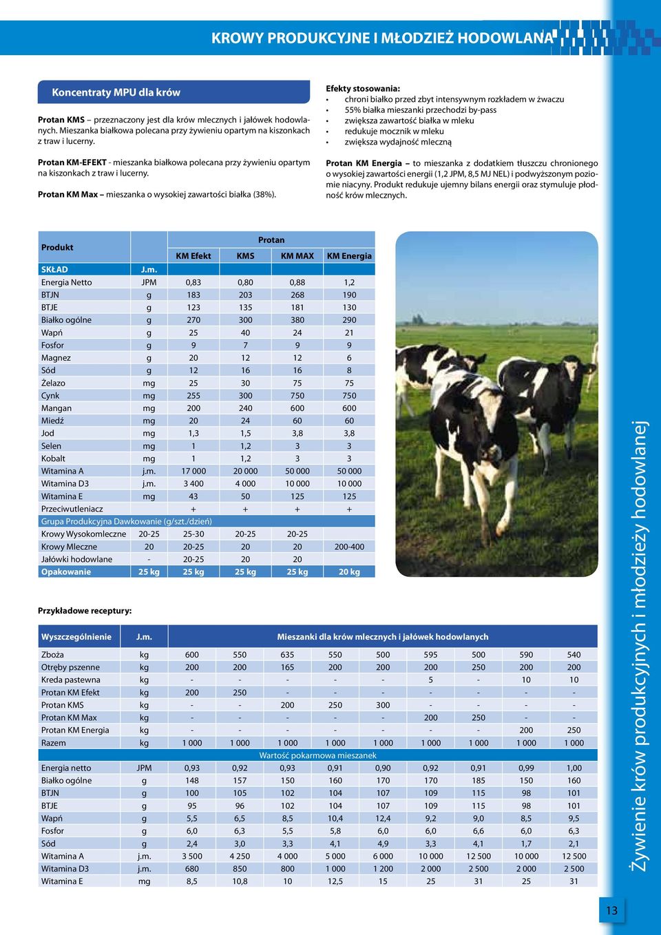 Protan KM Max mieszanka o wysokiej zawartości białka (38%).