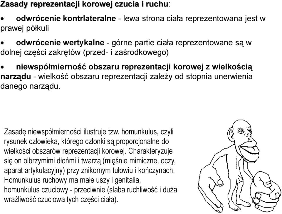 Zasadę niewspółmierności ilustruje tzw. homunkulus, czyli rysunek człowieka, którego członki są proporcjonalne do wielkości obszarów reprezentacji korowej.