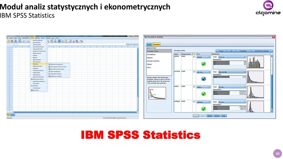 ekonometrycznych IBM