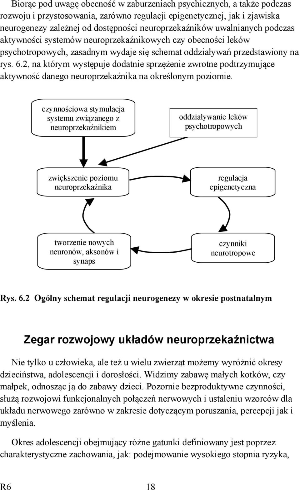 2, na którym występuje dodatnie sprzężenie zwrotne podtrzymujące aktywność danego neuroprzekaźnika na określonym poziomie.