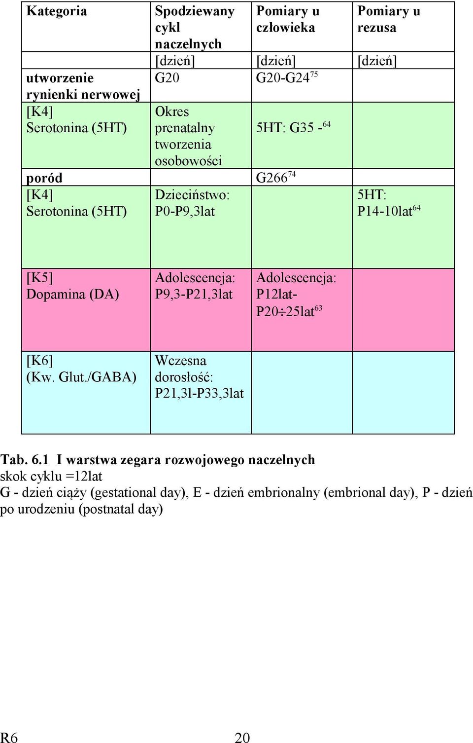 (DA) Adolescencja: P9,3-P21,3lat Adolescencja: P12lat- P20 25lat 63