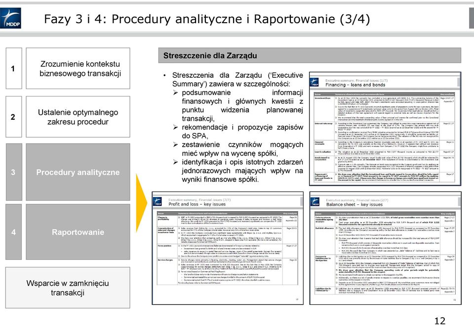 finansowych i głównych kwestii z punktu widzenia planowanej transakcji, rekomendacje i propozycje zapisów do SPA, zestawienie czynników mogących mieć