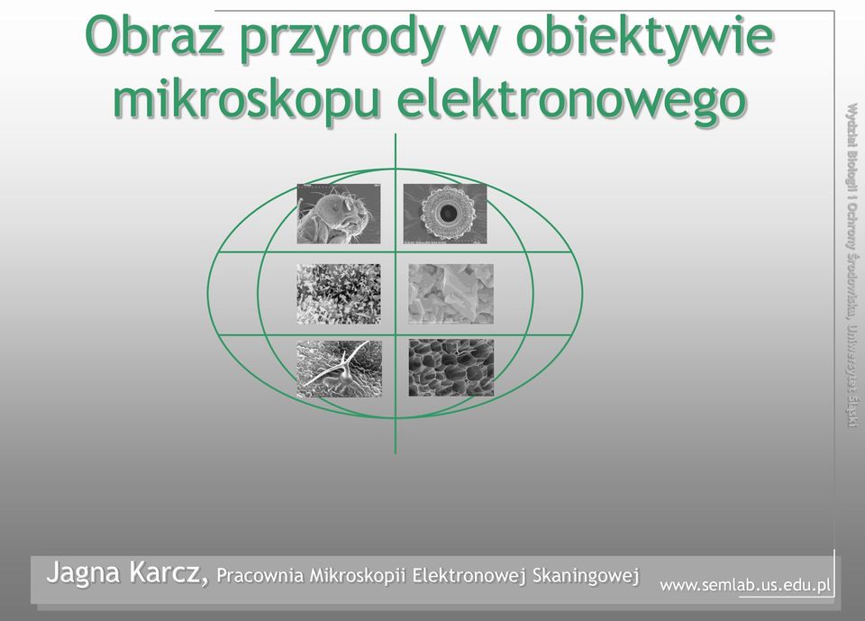 Środowiska, Uniwersytet Śląski Jagna Karcz,