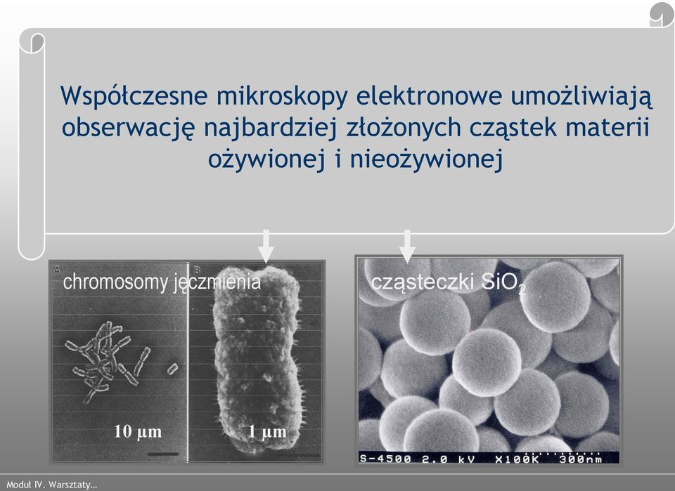 złożonych cząstek materii ożywionej i