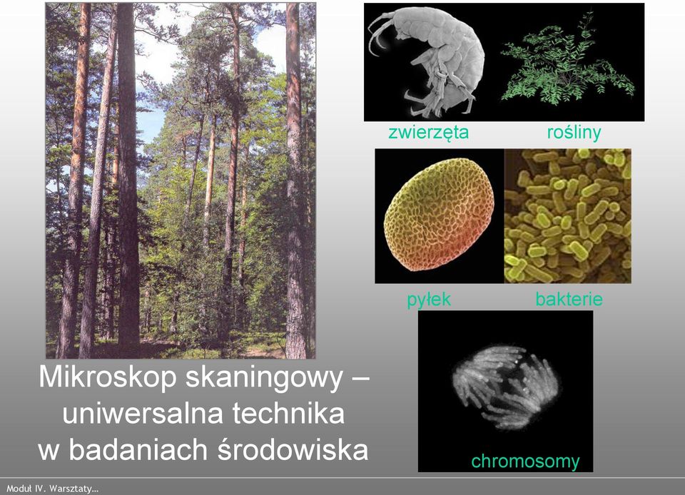 skaningowy uniwersalna