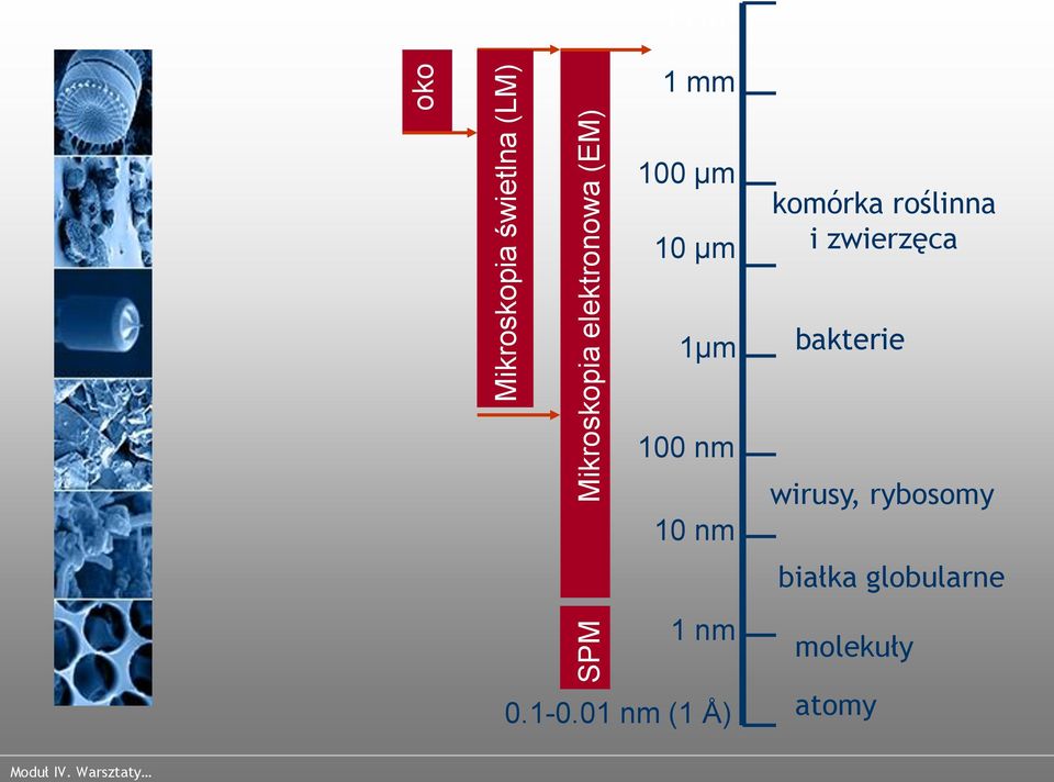 roślinna i zwierzęca 1µm bakterie 100 nm 10 nm 1 nm