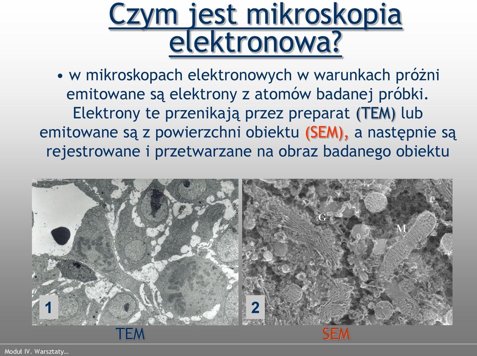 atomów badanej próbki.