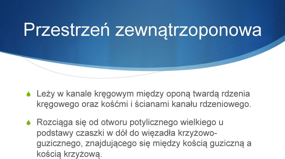 S Rozciąga się od otworu potylicznego wielkiego u podstawy czaszki w dół