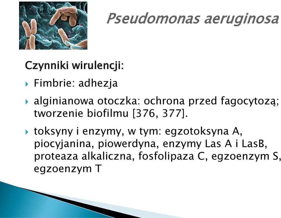 377]. toksyny i enzymy, w tym: egzotoksyna A, piocyjanina, piowerdyna,