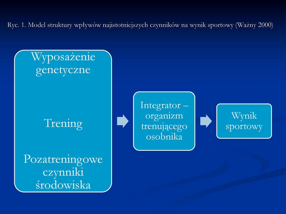 na wynik sportowy (Ważny 2000) Wyposażenie