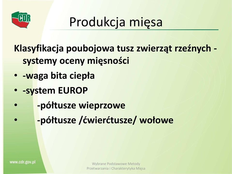 -system EUROP -półtusze wieprzowe -półtusze /ćwierćtusze/
