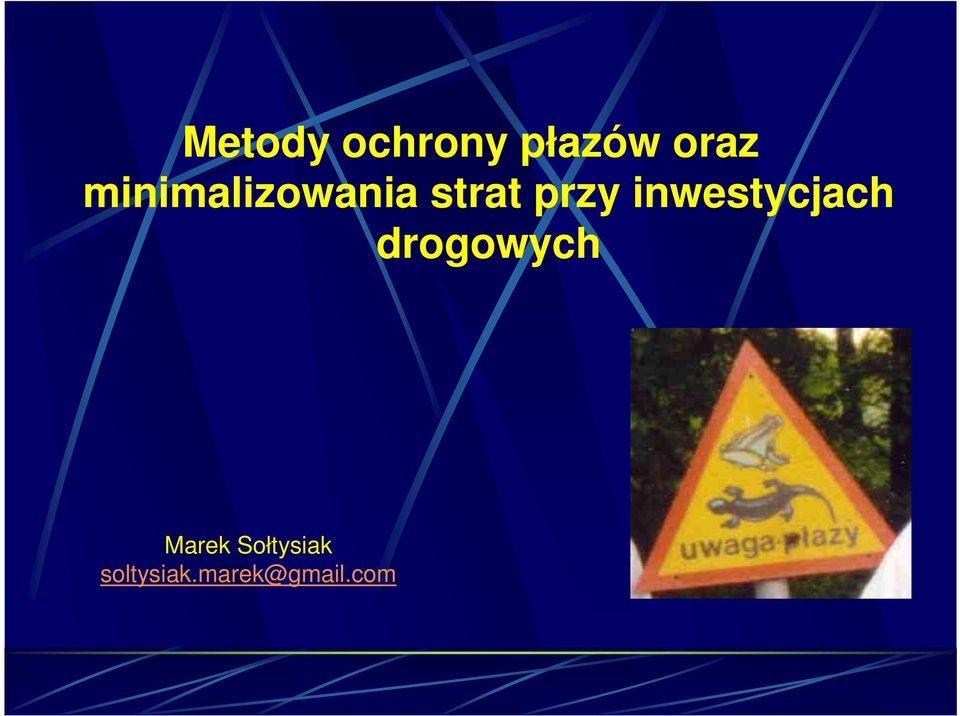 inwestycjach drogowych Marek