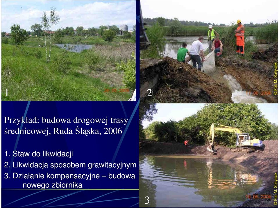 Staw do likwidacji 2.