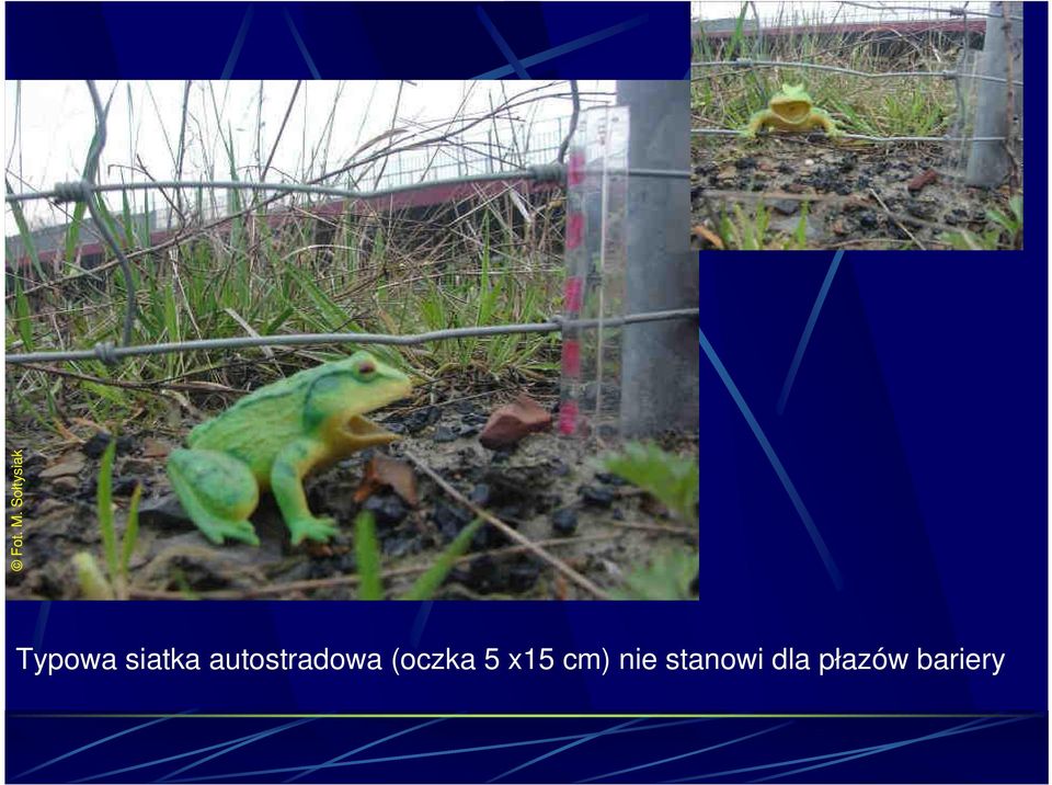 (oczka 5 x15 cm)