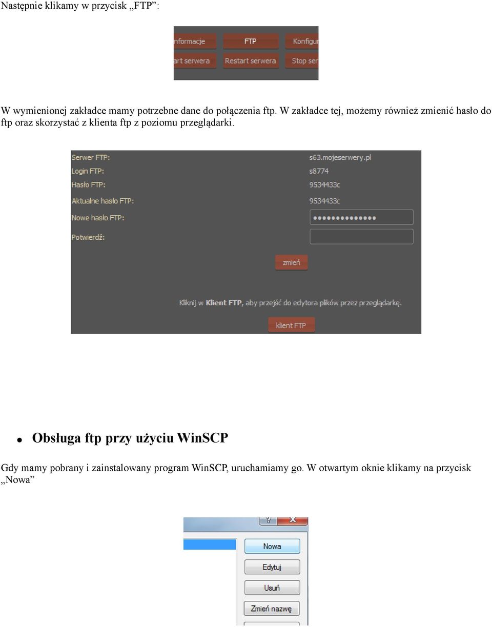 W zakładce tej, możemy również zmienić hasło do ftp oraz skorzystać z klienta ftp z