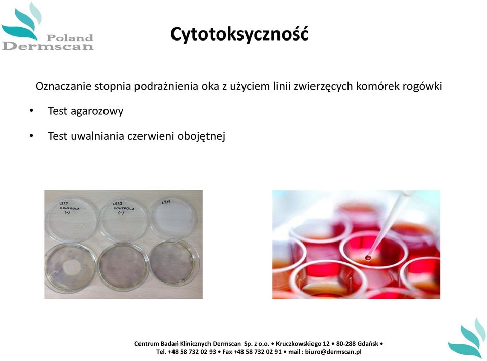 zwierzęcych komórek rogówki Test