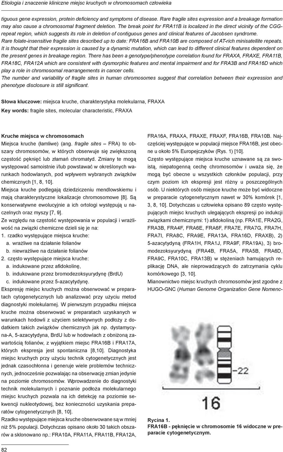 Często występujące miejsca kruche uznawane są za swoistą, niepatogenną cechę chromosomów i uważa się, że mogą być obecne u wszystkich członków populacji, przy czym poziom ich ekspresji jest różny u