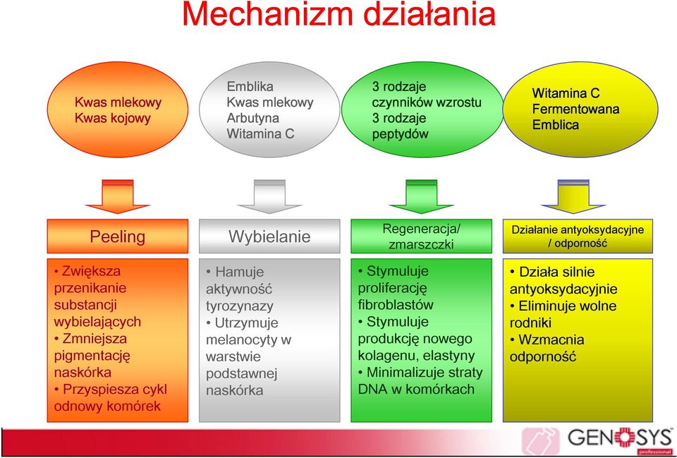 pigmentację naskórka Przyspiesza cykl odnowy komórek Hamuje aktywność tyrozynazy Utrzymuje melanocyty w warstwie podstawnej naskórka Stymuluje proliferację