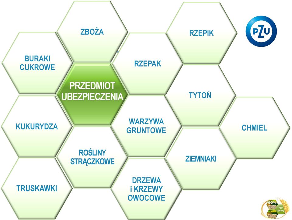 WARZYWA GRUNTOWE CHMIEL ROŚLINY