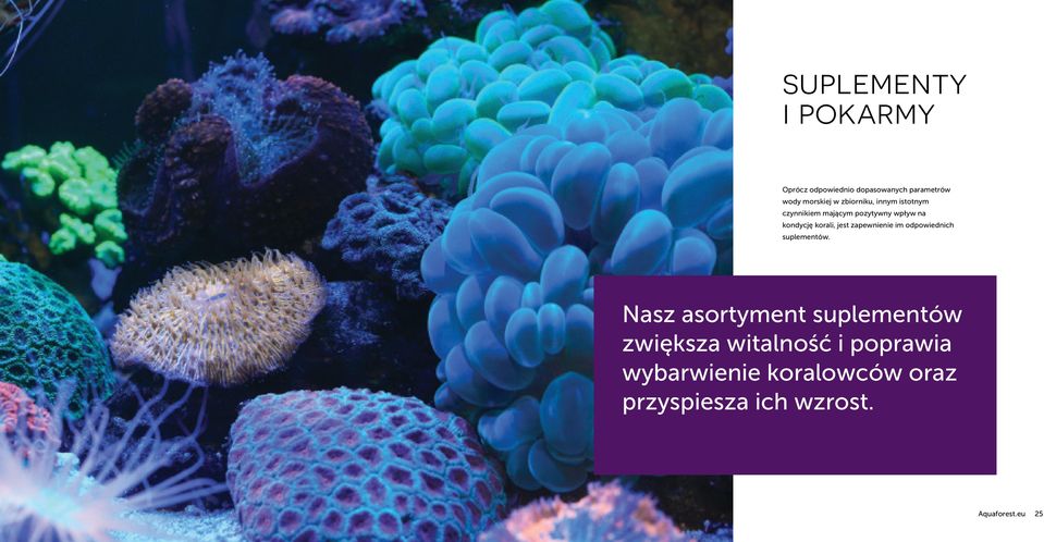 zapewnienie im odpowiednich suplementów.
