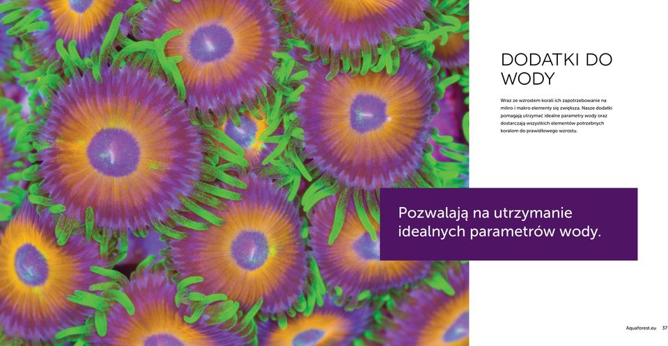 Nasze dodatki pomagają utrzymać idealne parametry wody oraz dostarczają