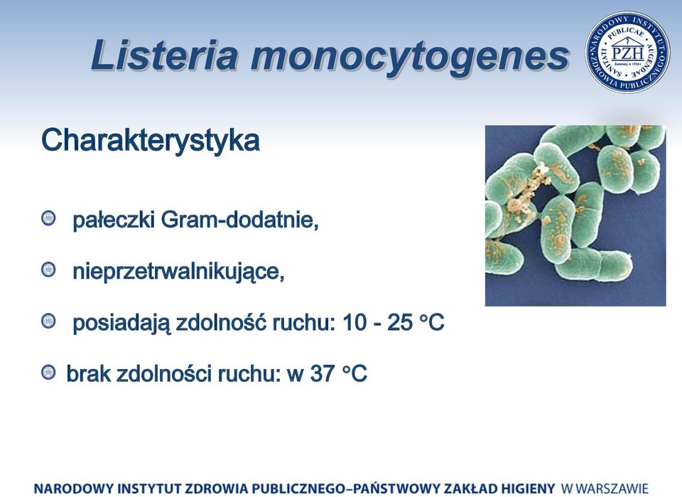 Gram-dodatnie, nieprzetrwalnikujące,