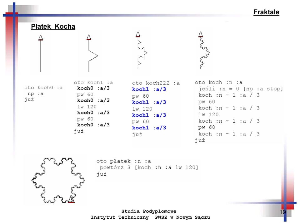 Kocha 19