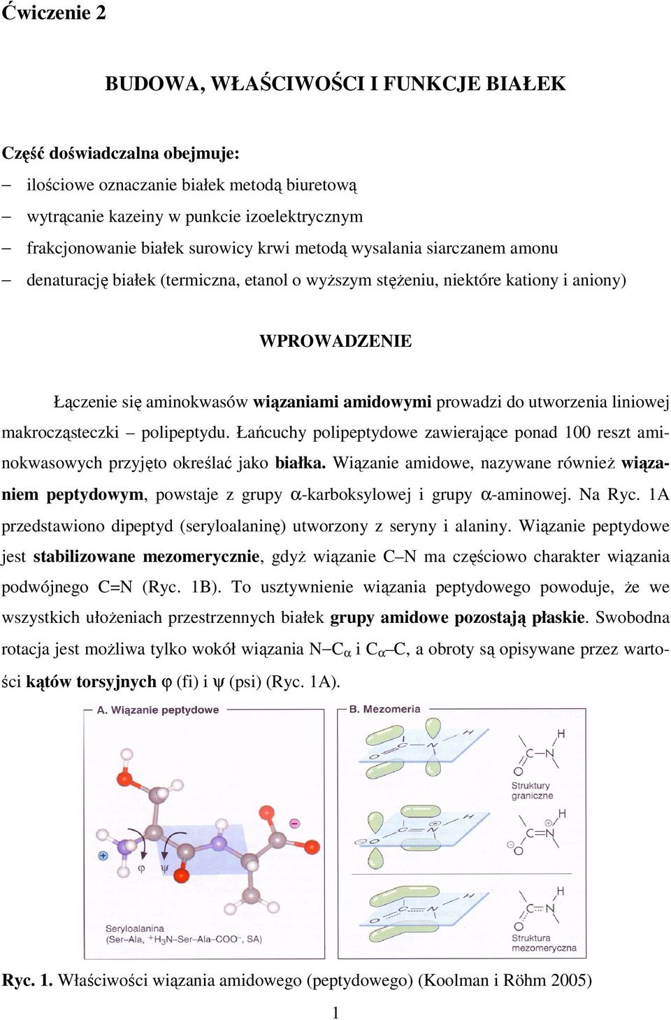 utworzenia liniowej makrocząsteczki polipeptydu. Łańcuchy polipeptydowe zawierające ponad 100 reszt aminokwasowych przyjęto określać jako białka.