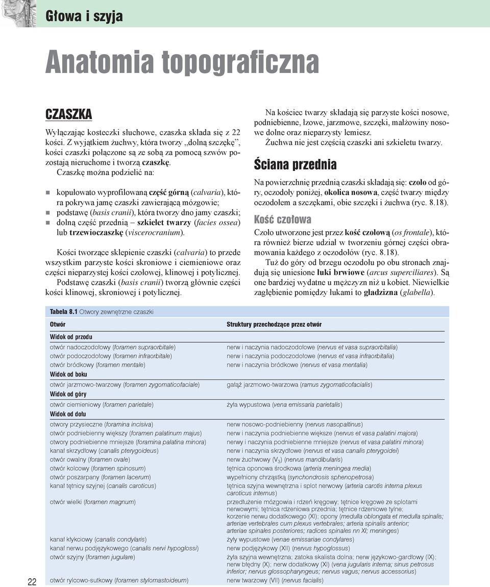 Czaszkę można podzielić na: kopułowato wyprofilowaną część gór ną (calvaria), któ - ra pokrywa jamę czaszki zawierają cą mózgowie; podstawę (basis cranii), któ ra two rzy dno ja my czasz ki; dol ną