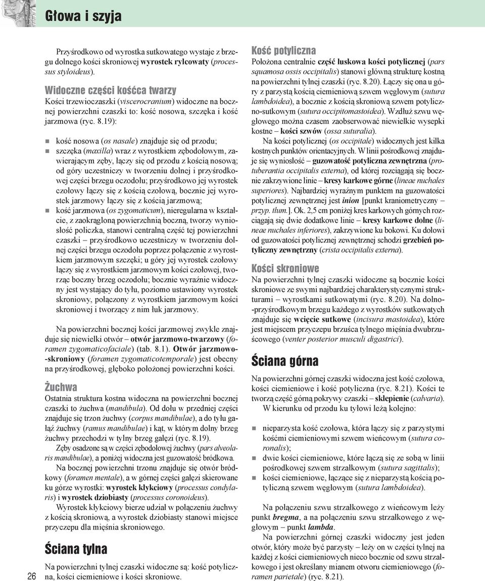 19): kość nosowa (os nasale) znajduje się od przo du; szczęka (maxilla) wraz z wy rost kiem zębodołowym, zawierającym zęby, łączy się od przo du z ko ścią nosową; od góry uczestniczy w tworzeniu