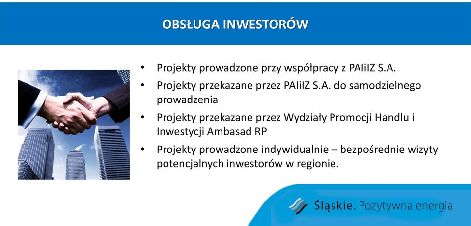 Handlu i Inwestycji Ambasad RP Projekty prowadzone indywidualnie