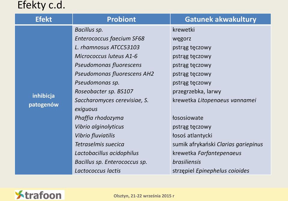 exiguous Phaffia rhodozyma Vibrio alginolyticus Vibrio fluviatilis Tetraselmis suecica Lactobacillus acidophilus Bacillus sp. Enterococcus sp.