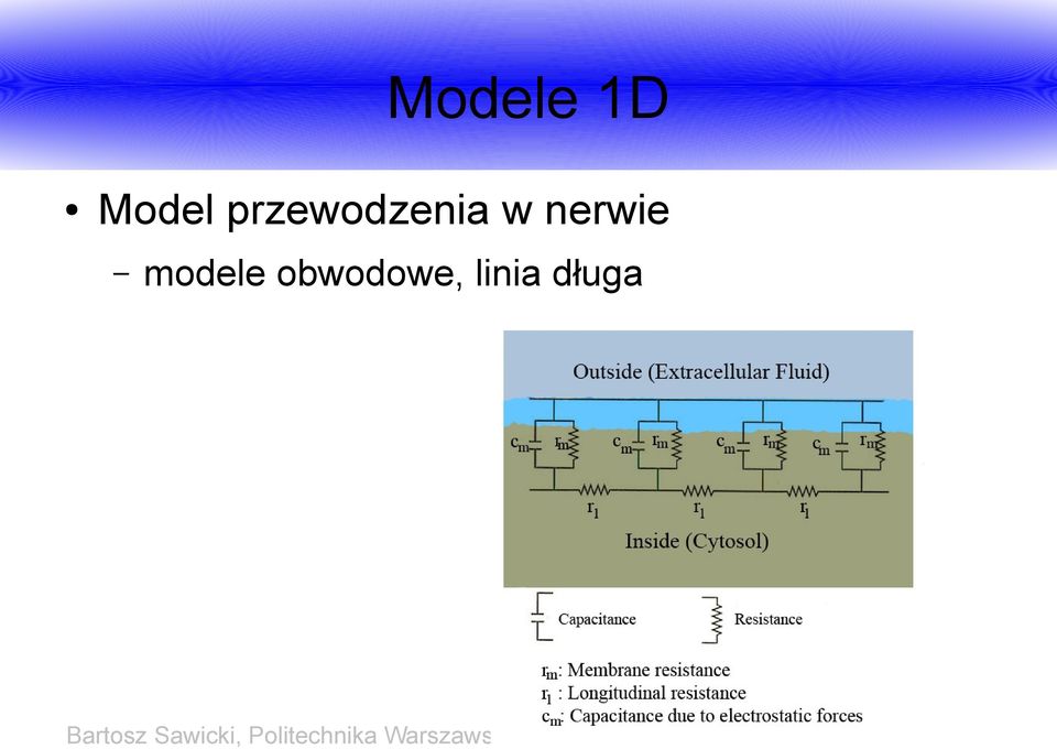 nerwie modele