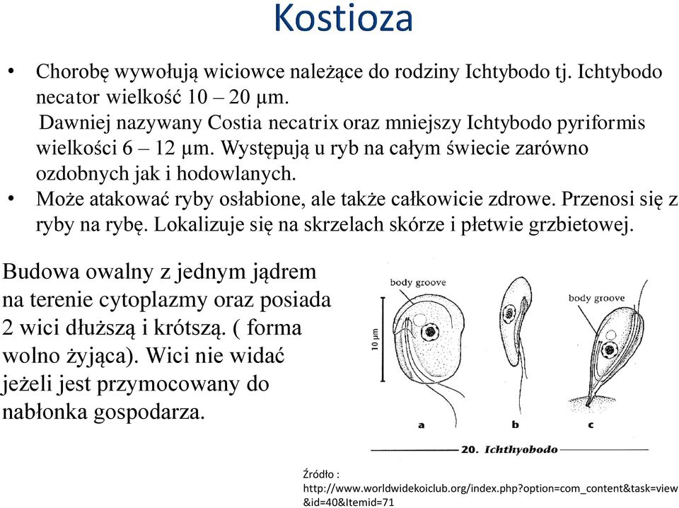 Może atakować ryby osłabione, ale także całkowicie zdrowe. Przenosi się z ryby na rybę. Lokalizuje się na skrzelach skórze i płetwie grzbietowej.