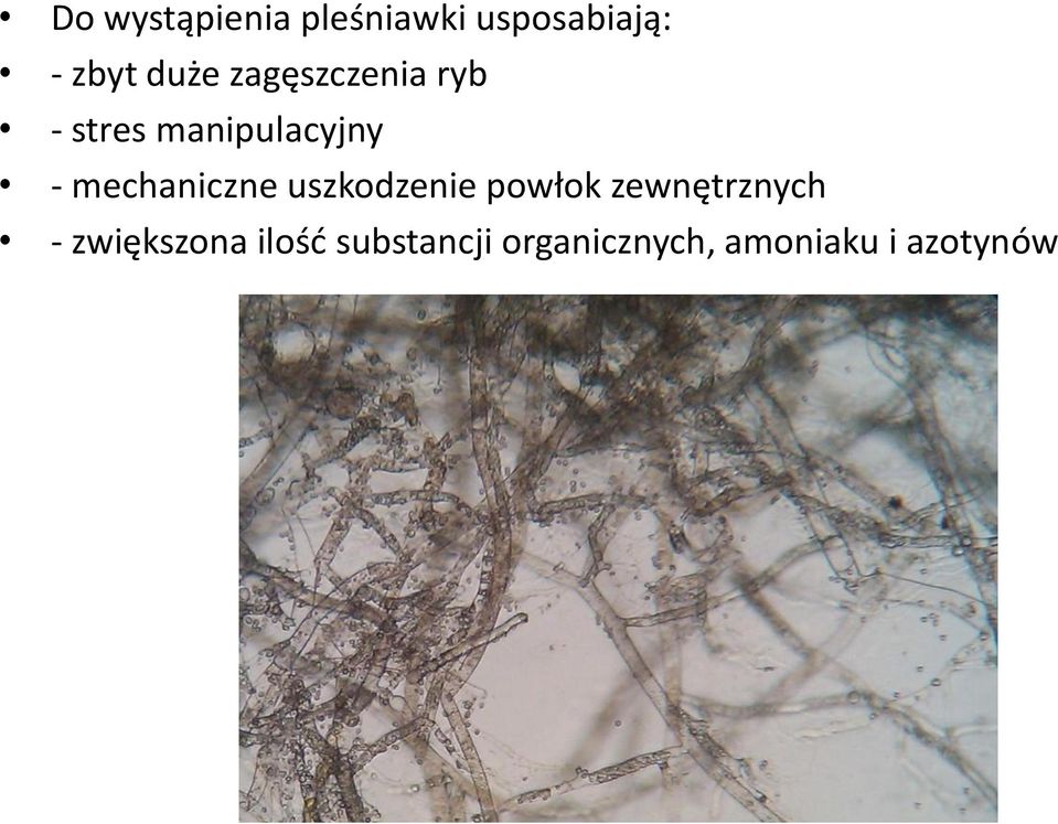 mechaniczne uszkodzenie powłok zewnętrznych -