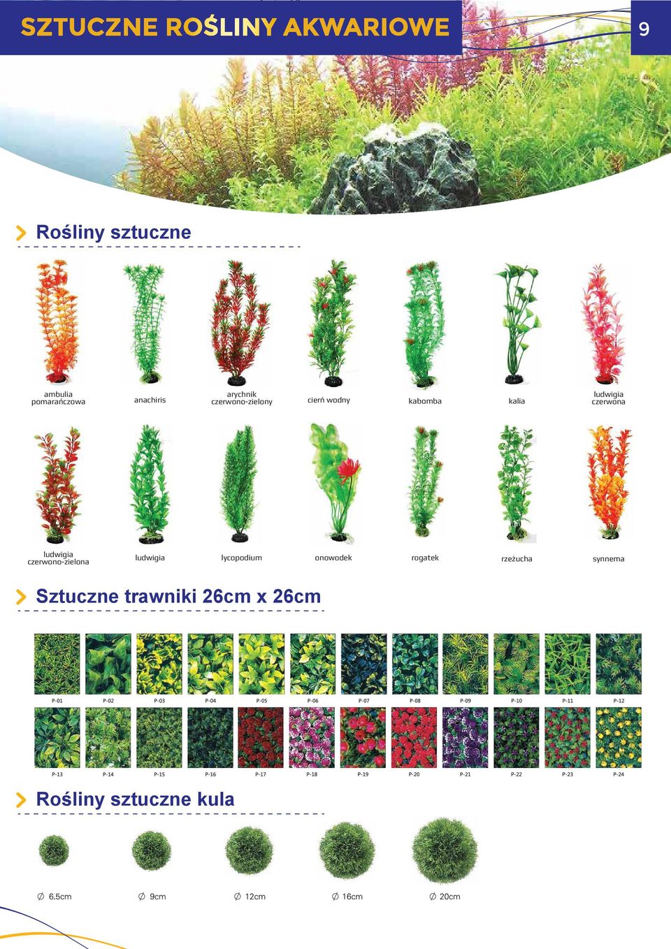 ludwigia czerwono-zielona ludwigia lycopodium onowodek rogatek