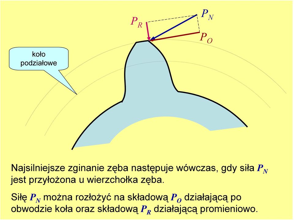wierzchołka zęba.