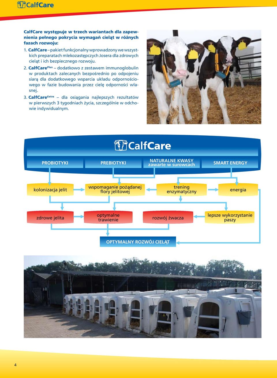 CalfCare Plus dodatkowo z zestawem immunoglobulin w produktach zalecanych bezpośrednio po odpojeniu siarą dla dodatkowego wsparcia układu odpornościowego w fazie budowania przez cielę odporności