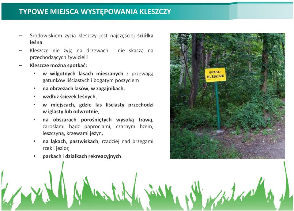 Kleszcze można spotkać: w wilgotnych lasach mieszanych z przewagą gatunków liściastych i bogatym poszyciem na obrzeżach lasów, w zagajnikach, wzdłuż