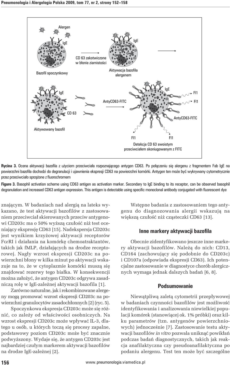 Antygen ten może być wykrywany cytometrycznie przez przeciwciało sprzężone z fluorochromem Figure 3. Basophil activation scheme using CD63 antigen as activation marker.