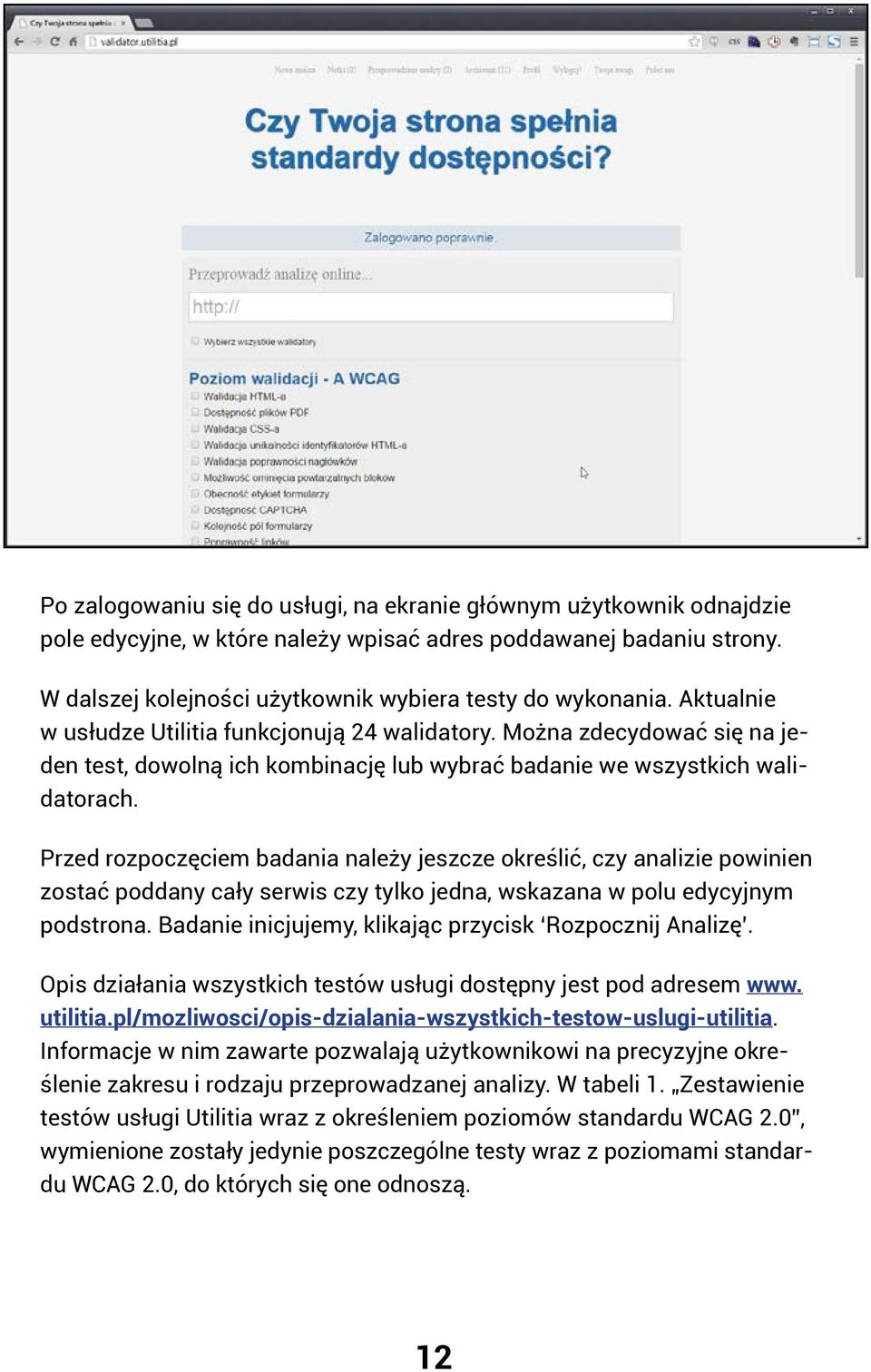 Przed rozpoczęciem badania należy jeszcze określić, czy analizie powinien zostać poddany cały serwis czy tylko jedna, wskazana w polu edycyjnym podstrona.