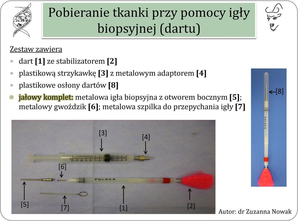 dartów [8] jałowy komplet: metalowa igła biopsyjna z otworem bocznym [5]; metalowy