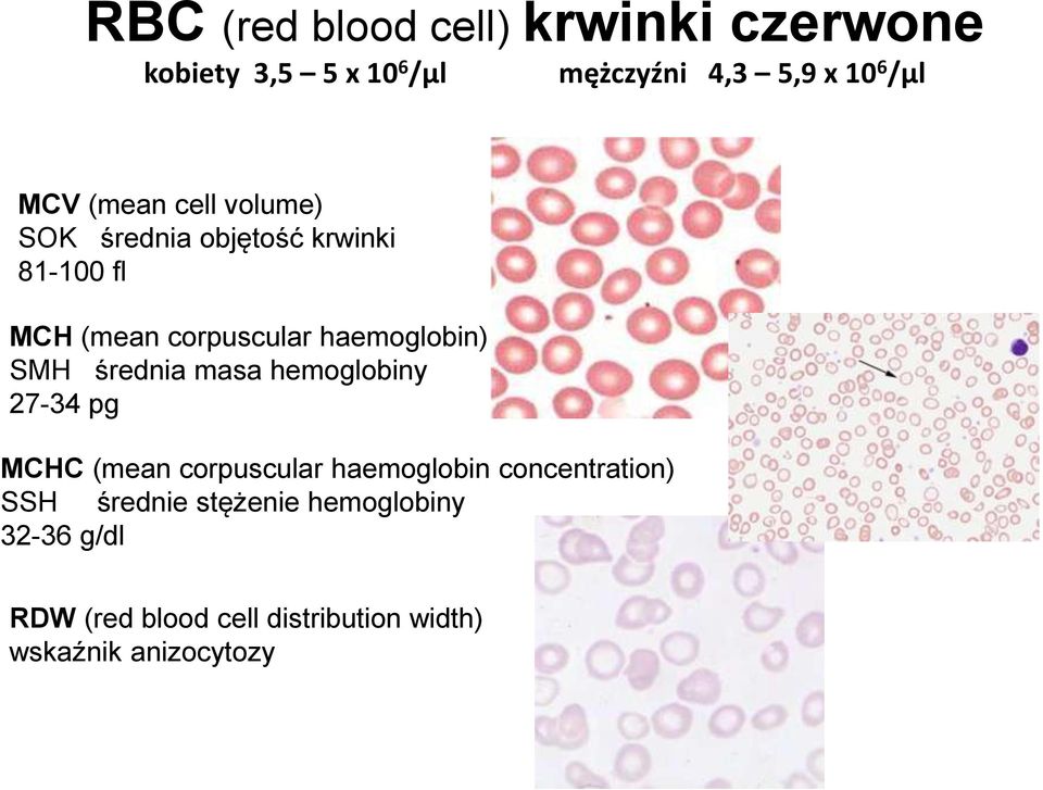 SMH średnia masa hemoglobiny 27-34 pg MCHC (mean corpuscular haemoglobin concentration) SSH