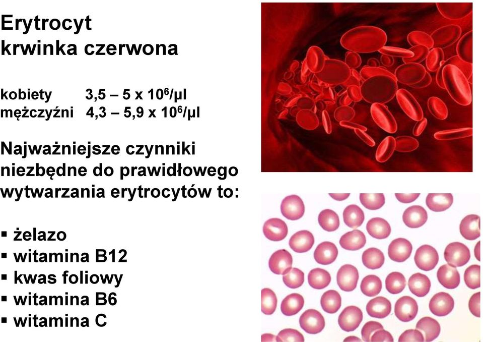 niezbędne do prawidłowego wytwarzania erytrocytów to: