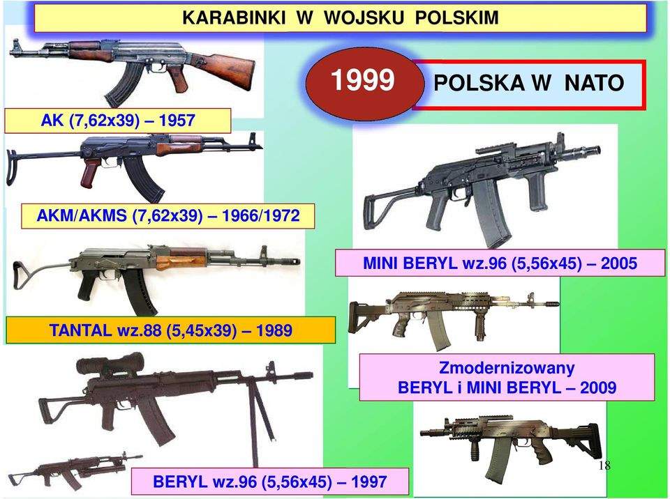 wz.96 (5,56x45) 2005 TANTAL wz.